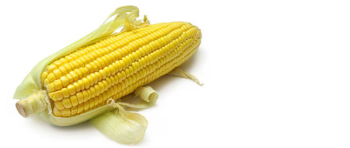 مایکوتوکسین