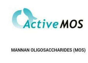 پری بیوتیک مرغ