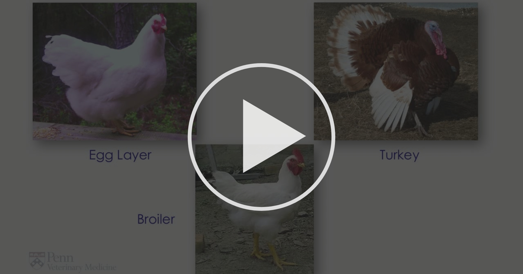 فیلم هایی در زمینه های