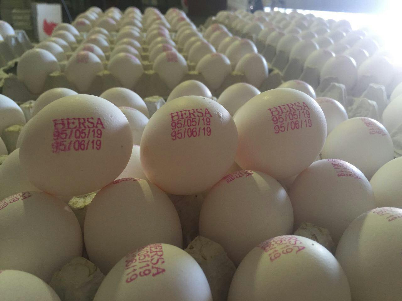 تخم مرغ غنی شده با سلنیوم